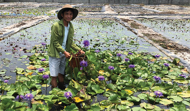 Những chàng trai, cô gái trẻ đổi đời nhờ... hoa - Ảnh 3.