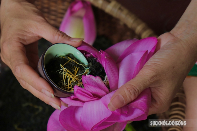 Kỳ công cách ướp trà gói trọn tinh hoa nghìn bông sen Hồ Tây - Ảnh 1.
