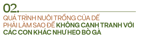 Cricket One - Startup FoodTech Việt b&aacute;n sản phẩm về dế khắp Mỹ, Nhật, ch&acirc;u &Acirc;u, tự tin lọt Top 3 nh&agrave; sản xuất dế lớn nhất thế giới  - Ảnh 6.