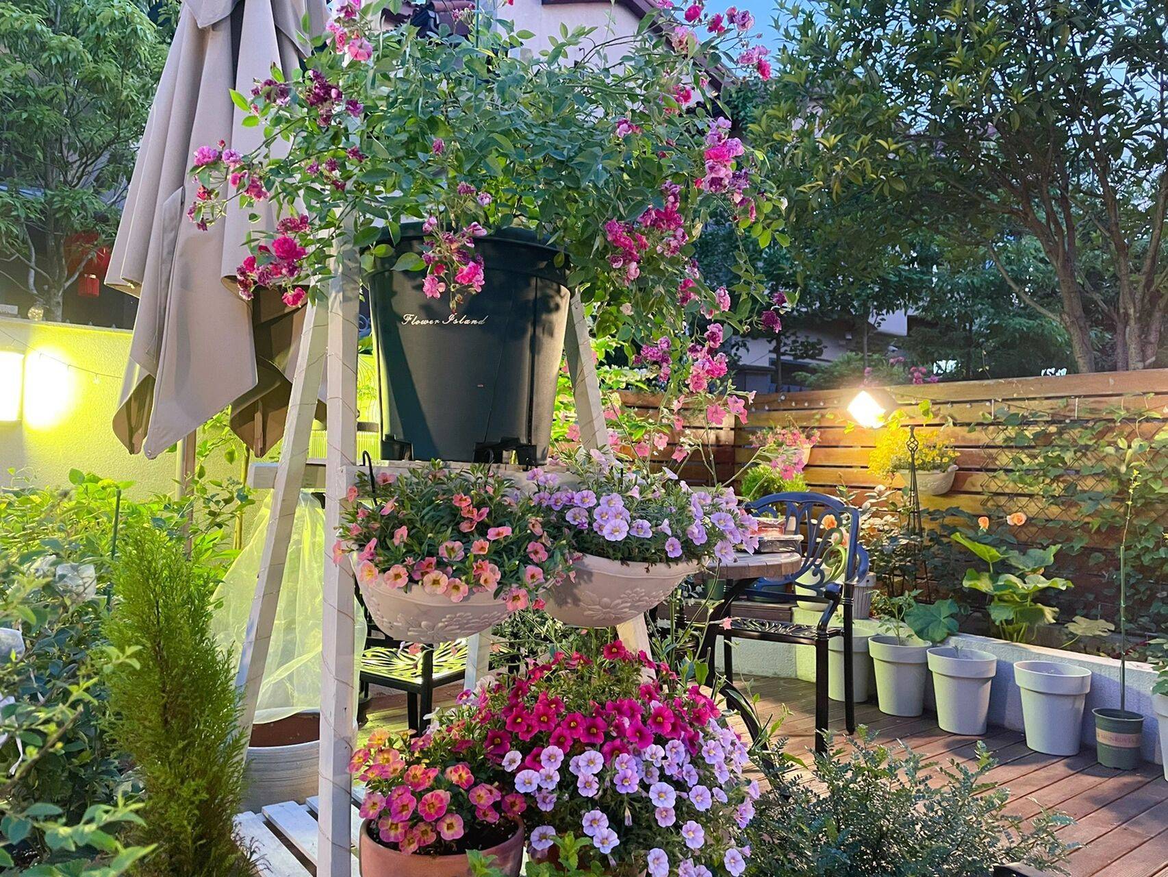 The 9x girl celebrates the age of 31 with a new house with a garden and after 300 days, the garden has bloomed full of flowers - Photo 2. The 9x girl celebrates the age of 31 with a new house with a garden and after 300 days, the garden has bloomed full of flowers - Photo 2.