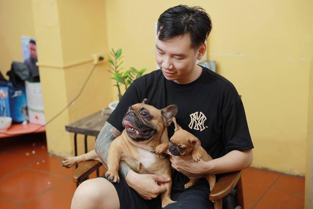 Bếp trưởng Hà Nội đầu tư tiền tỷ nuôi chó Bull Pháp đắt đỏ - Ảnh 1.