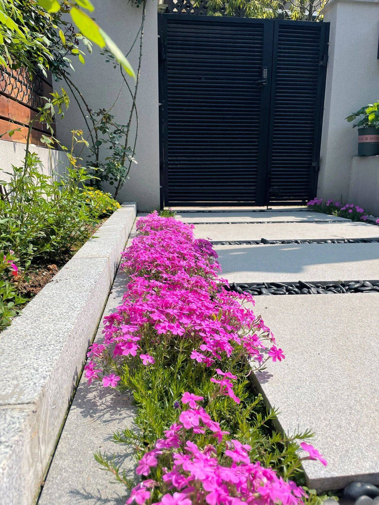 The 9x girl celebrates the age of 31 with a new house with a garden and after 300 days, the garden is in full bloom - Photo 21. The 9x girl celebrates the age of 31 with a new house with a garden and after 300 days, the garden is in full bloom - Photo 21.