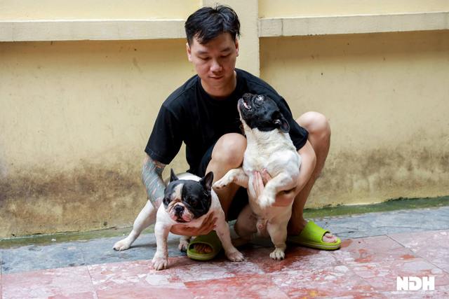 Hanoi chef invests billions in raising expensive French Bulldogs - Photo 9.