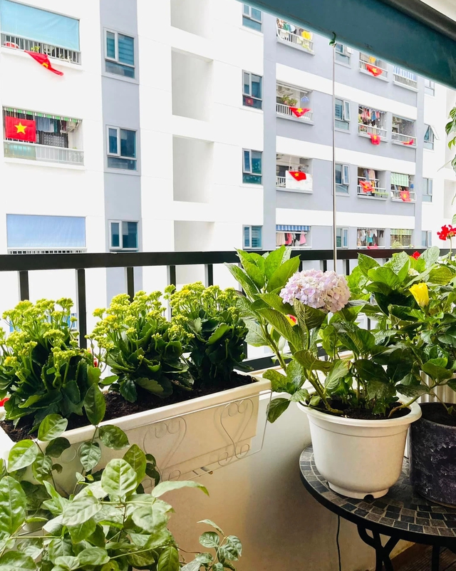 A young couple in Nghe An smashed through two 69m² apartments to enjoy their decor - Photo 15. A young couple in Nghe An smashed through two 69m² apartments to enjoy their decor - Photo 15.