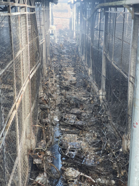 Cháy lớn tại bãi giữ xe tang vật rộng hơn 1.000m2 - Ảnh 7.