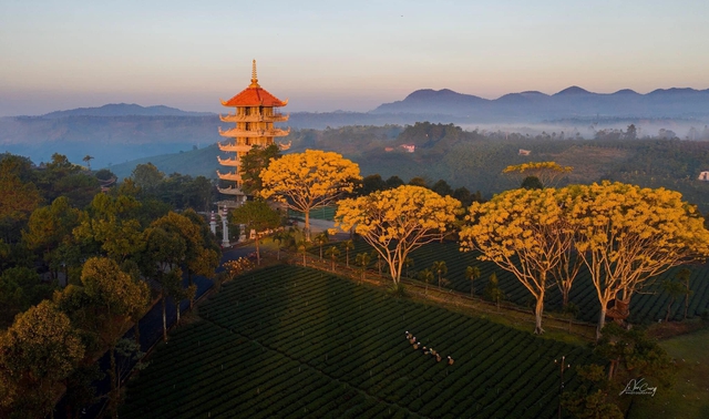 What in the village in Vietnam is likened to the Arc de Triomphe of Paris because of its beautiful planning? Located in a poetic land, nature favors paradise-like scenes - Photo 9. What in the village in Vietnam is likened to the Arc de Triomphe of Paris because of its beautiful planning? Located in a poetic land, nature favors paradise-like scenes - Photo 9.