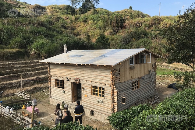 The young girl went up the mountain to build a beautiful house like a fairy tale, raised chickens and ducks with her own hands, sewed clothes to embrace the dream of being a Cinderella - Photo 1.