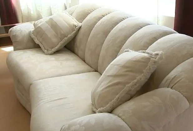   The woman who discovered a large amount of money in the old sofa was given, and then made everyone applaud - Photo 1.