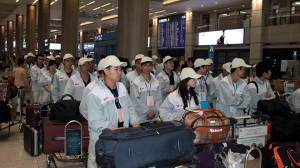 Lao động đi l&agrave;m việc tại H&agrave;n Quốc được vay vốn k&yacute; quỹ 100 triệu đồng - Ảnh 1.
