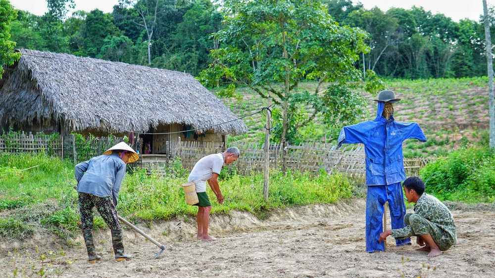 Bỏ việc lương 10 triệu, chàng trai về quê trồng rau, nuôi gà: Bình yên nhưng không dễ dàng - Ảnh 1.