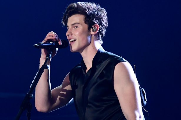 Shawn Mendes tạm hoãn chuyến lưu diễn thế giới vì quá áp lực - Ảnh 1.