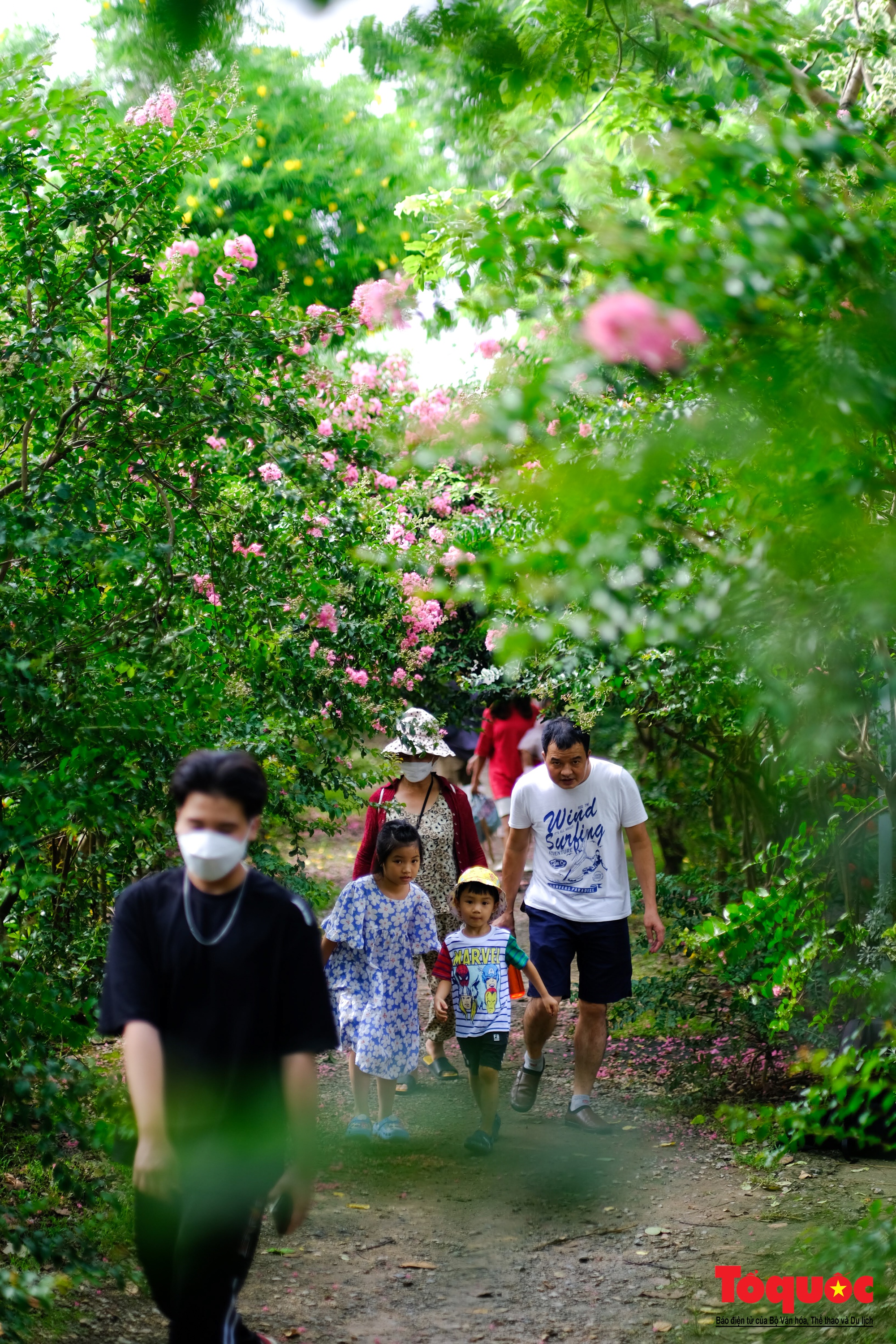 Phát sốt với con đường hoa tường vi đẹp như mơ ở Hà Nội - Ảnh 8. Phát sốt với con đường hoa tường vi đẹp như mơ ở Hà Nội - Ảnh 8.