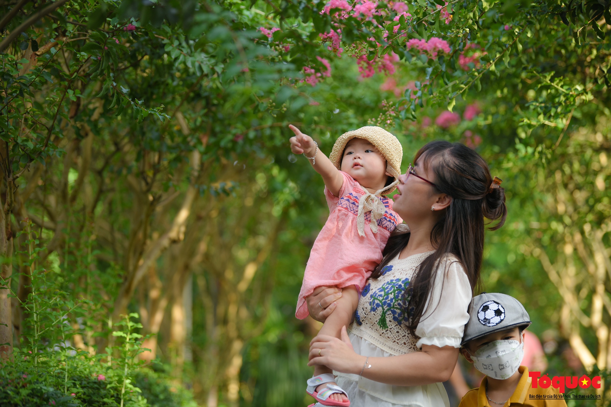 Phát sốt với con đường hoa tường vi đẹp như mơ ở Hà Nội - Ảnh 9. Phát sốt với con đường hoa tường vi đẹp như mơ ở Hà Nội - Ảnh 9.