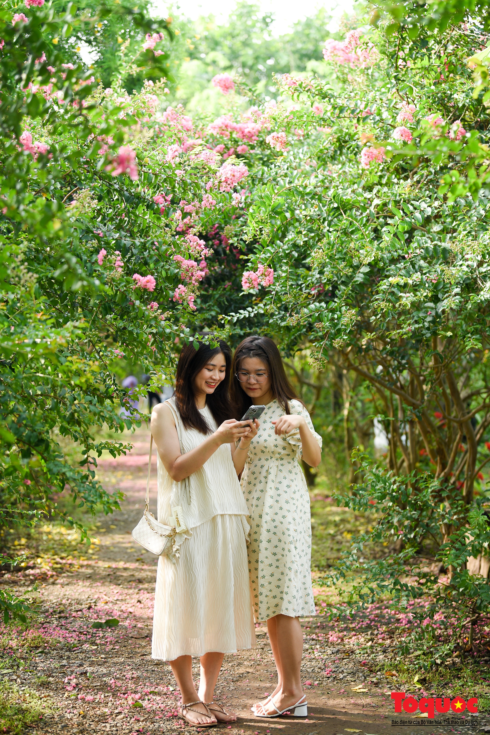 Phát sốt với con đường hoa tường vi đẹp như mơ ở Hà Nội - Ảnh 10. Phát sốt với con đường hoa tường vi đẹp như mơ ở Hà Nội - Ảnh 10.