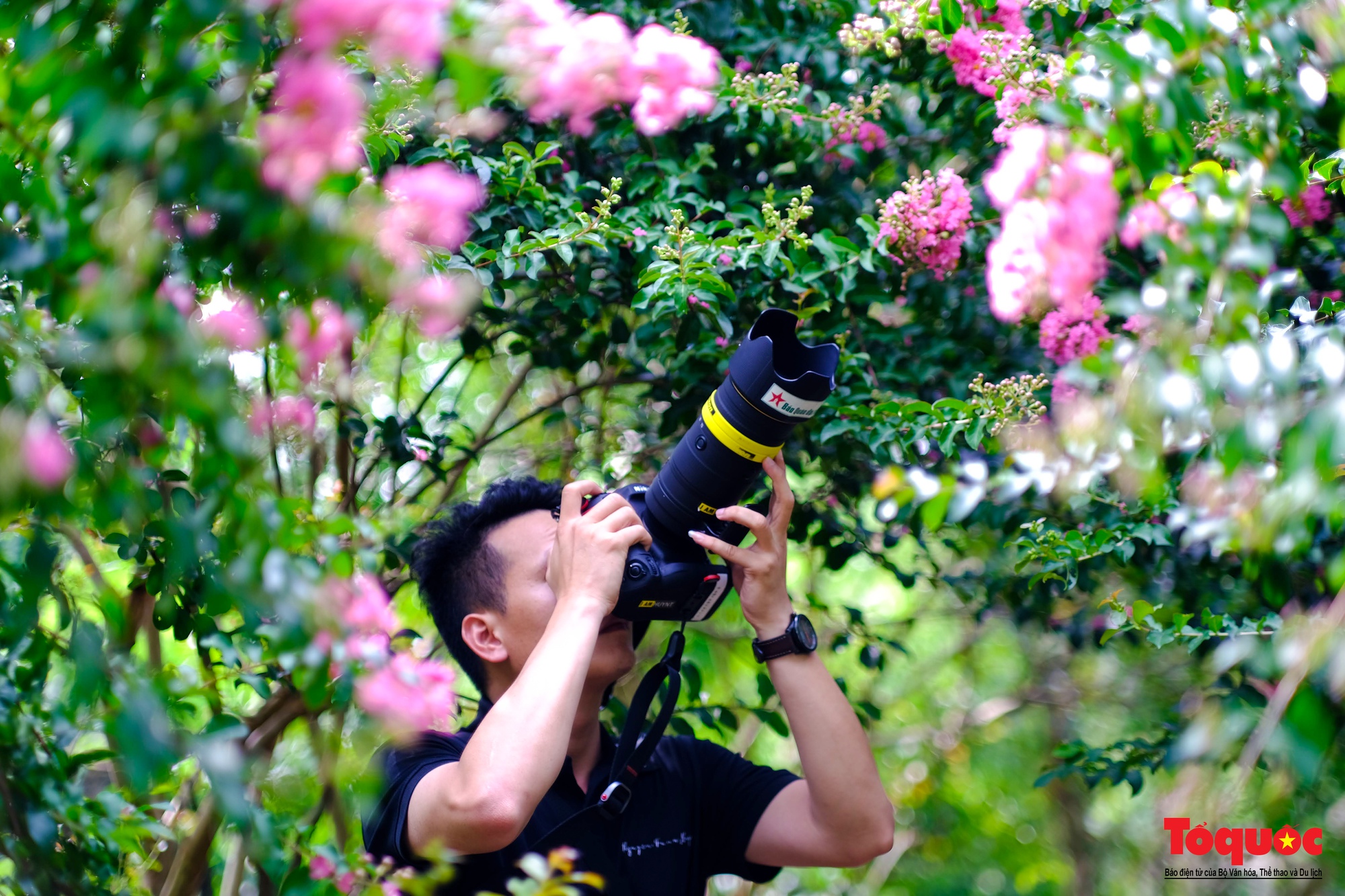 Phát sốt với con đường hoa tường vi đẹp như mơ ở Hà Nội - Ảnh 14. Phát sốt với con đường hoa tường vi đẹp như mơ ở Hà Nội - Ảnh 14.