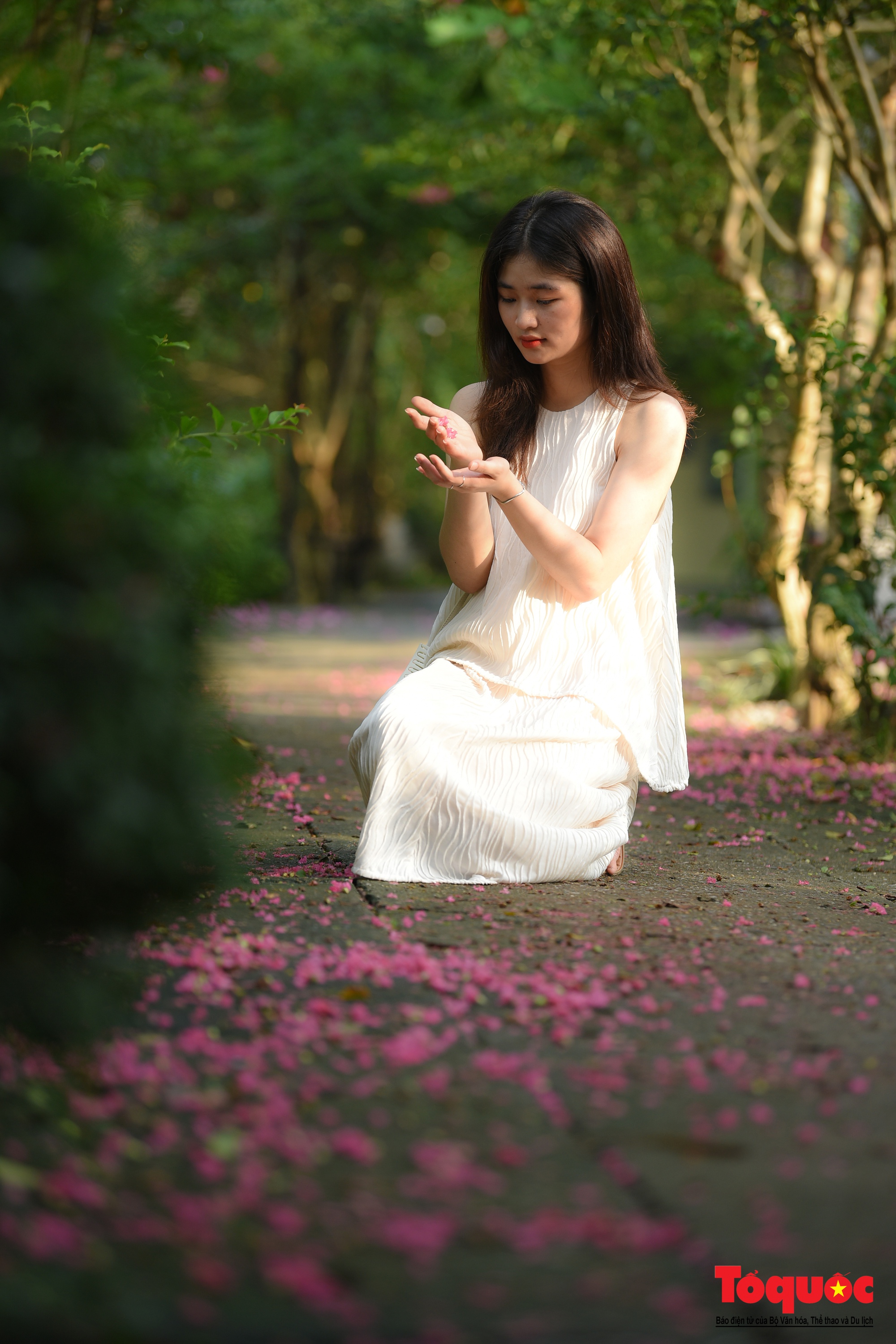 Phát sốt với con đường hoa tường vi đẹp như mơ ở Hà Nội - Ảnh 15. Phát sốt với con đường hoa tường vi đẹp như mơ ở Hà Nội - Ảnh 15.