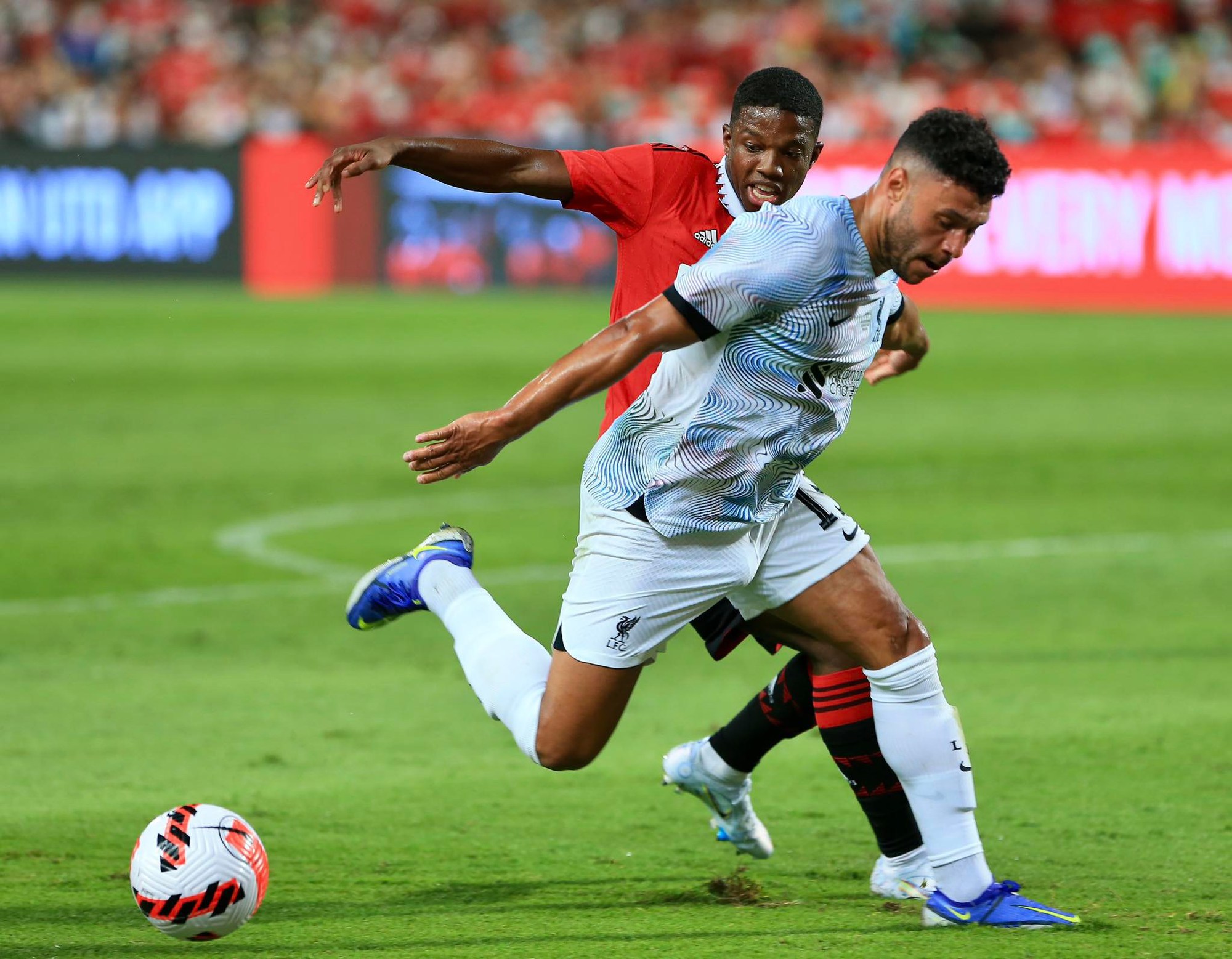 undefined - Ảnh 1.