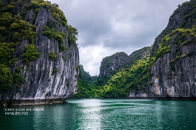 Cậu bé 3 tuổi cùng bố “phượt” Cát Bà: Được trekking, băng rừng, lội bùn từ khi 22 tháng tuổi, luôn thích thú với những trải nghiệm mới - Ảnh 12.