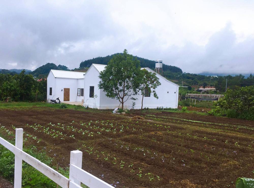 Cô gái sửa nhà kho, nơi nuôi heo thành nhà nông trại: Hình ảnh trước và sau gây bất ngờ - Ảnh 10.