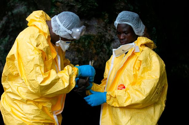 WHO cảnh báo về loại virus nguy hiểm cùng họ với Ebola, nguy cơ tử vong tới 90% và chưa có vaccine phòng ngừa - Ảnh 4.