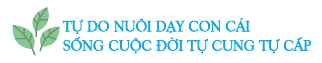 Bán nhà thành thị, đôi vợ chồng về quê sống tự cung tự cấp, thu nhỏ thiên nhiên vào nông trại 12.000m2: Sáng trồng cây, chiều chèo thuyền, an yên tự tại - Ảnh 23.