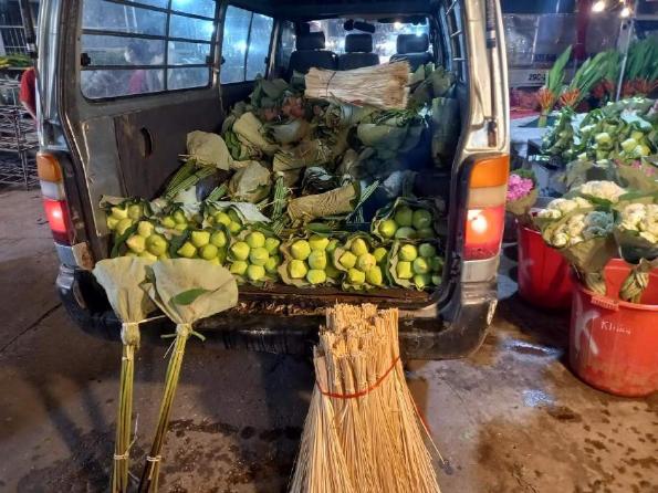 Hoa sen cuối m&ugrave;a, chị em H&agrave; th&agrave;nh tranh thủ mua về cắm chơi - Ảnh 2.