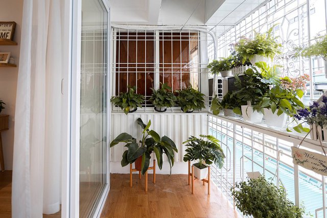 Mặc mọi lời can ngăn, c&ocirc; gi&aacute;o cải tạo nh&agrave; ở thu&ecirc; 9 năm, th&agrave;nh quả thu về ngo&agrave;i mong đợi - Ảnh 15.