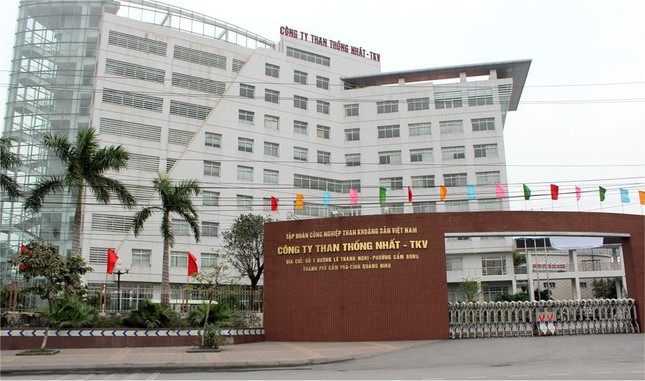 Một công nhân ngành than nhảy từ tầng 7 của trụ sở - Ảnh 1.