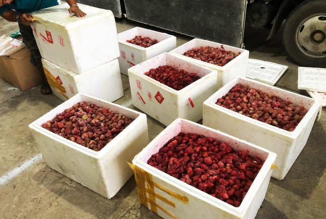 Phát hiện hơn 300 kg dâu tây lạ tuồn vào Đà Lạt - Ảnh 1.