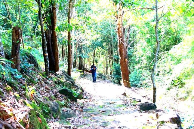 B&igrave;nh Dương sẽ c&oacute; một Đ&agrave; Lạt thu nhỏ tr&ecirc;n quần thể 21 ngọn n&uacute;i gần hồ Dầu Tiếng - Ảnh 1.