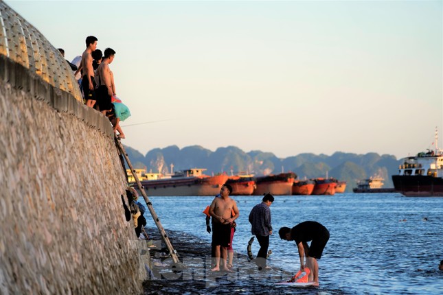 Bất chấp nguy hiểm, nhiều người ở Hạ Long vẫn tắm chui - Ảnh 5.