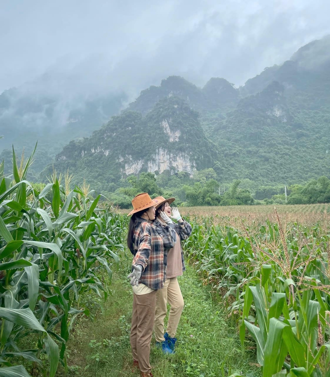 Nữ MC bỏ phố về quê khởi nghiệp mì ngô: Làm thật chứ không vì trào lưu, sức khỏe cải thiện - Ảnh 8.