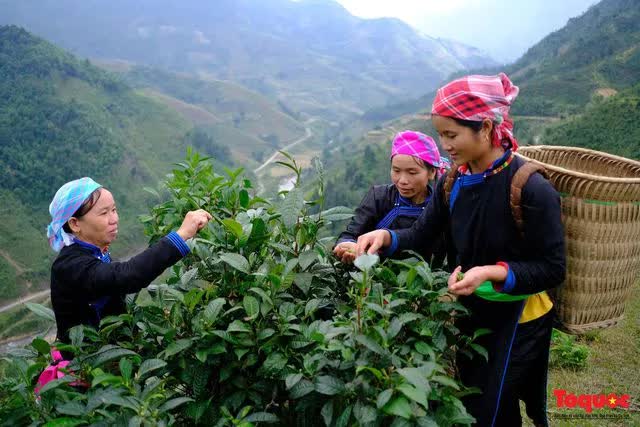 Bảo tồn, phát huy văn hóa truyền thống dân tộc Mông và Hà Nhì gắn với phát triển du lịch - Ảnh 2.