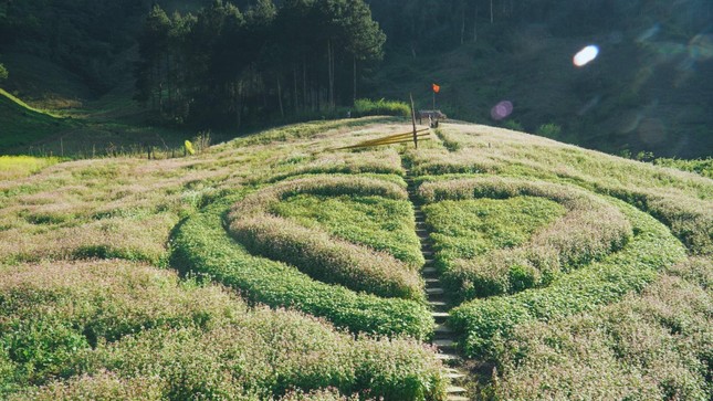 Gặp nam thần thổ địa Mộc Châu nghe kể chuyện du lịch bản địa qua hình ảnh - Ảnh 5.