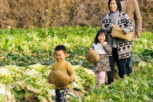 Bỏ phố về quê, vợ chồng 9X dành 2 năm tự nhào đất làm nhà cổ tích, chọn cuộc sống tự cung tự cấp - Ảnh 7.