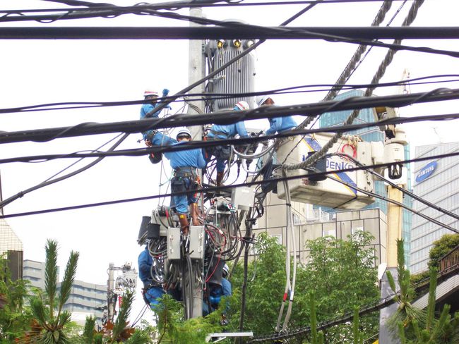 Một con rắn khiến gần 10.000 ngôi nhà mất điện, thành phố Nhật Bản rơi vào hoảng loạn - Ảnh 1.
