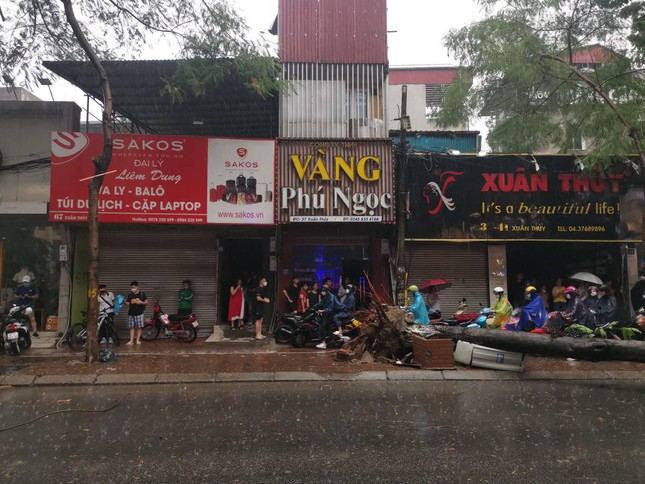 Hà Nội mưa to gió lớn, cây xanh bật gốc đổ trúng người đi xe máy  - Ảnh 2.