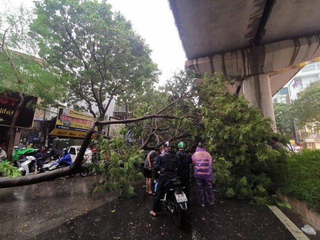 Hà Nội mưa to gió lớn, cây xanh bật gốc đổ trúng người đi xe máy  - Ảnh 3.