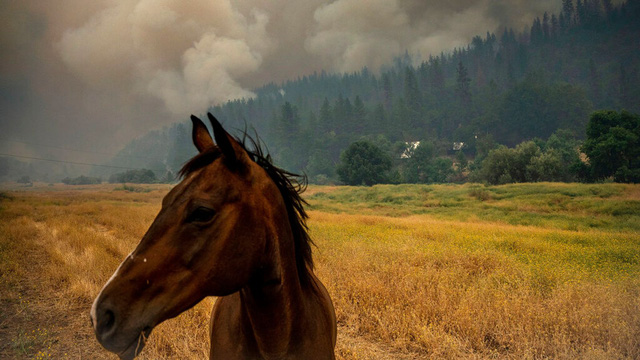 Cháy rừng dữ dội ở California mở rộng phạm vi gấp 62 lần trong đêm - Ảnh 2.