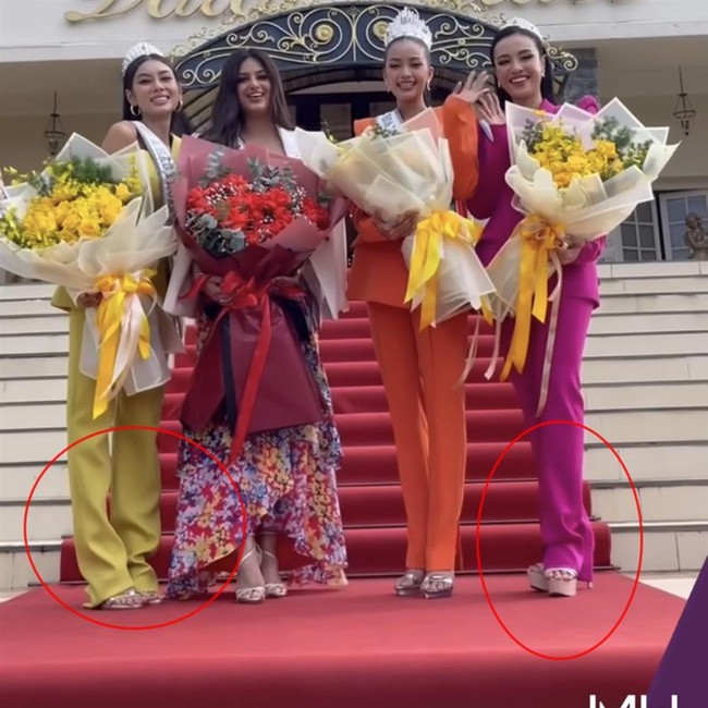 Lý do khiến netizen nổi đóa đòi giải cứu Top 3 Hoa hậu Hoàn vũ Việt Nam 2022 - Ảnh 2.
