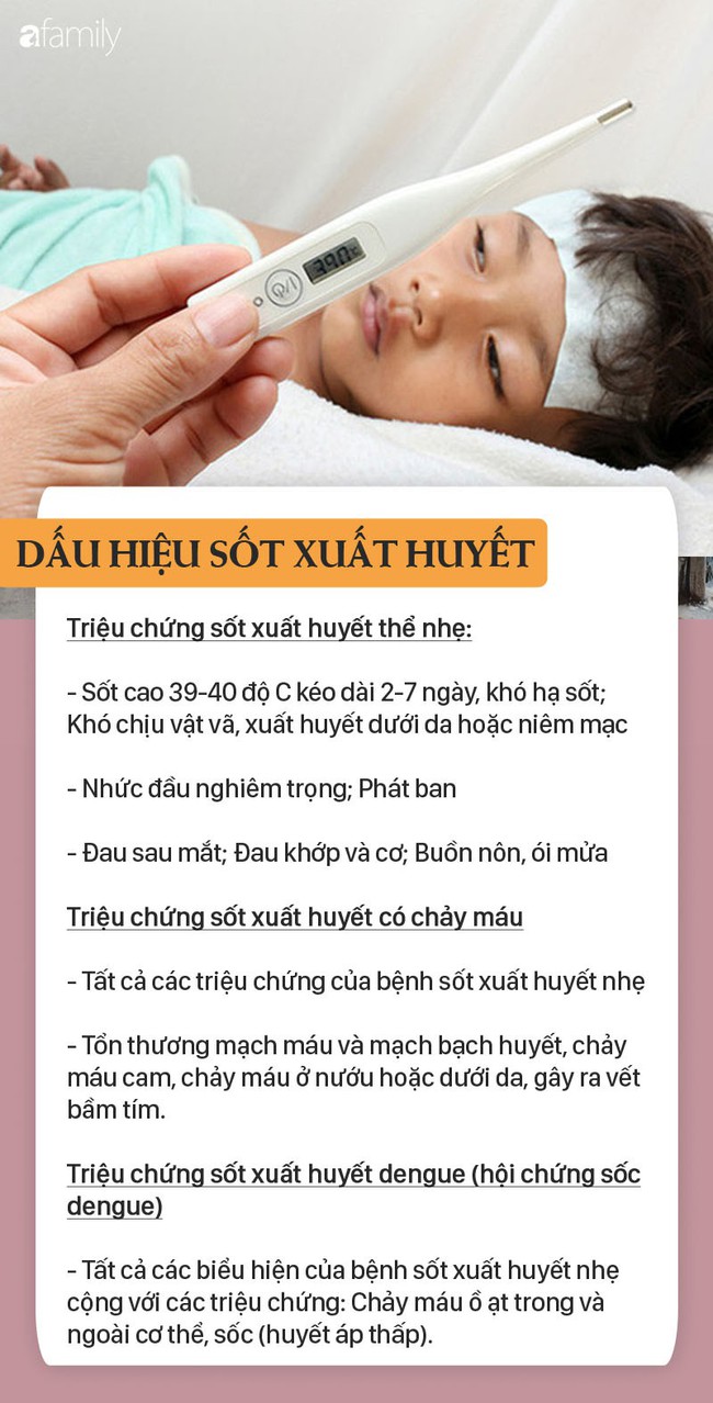 Cao điểm dịch sốt xuất huyết, 92.000 người mắc, 36 ca tử vong: Dấu hiệu mắc sốt xuất huyết cần đến viện ngay - Ảnh 2.