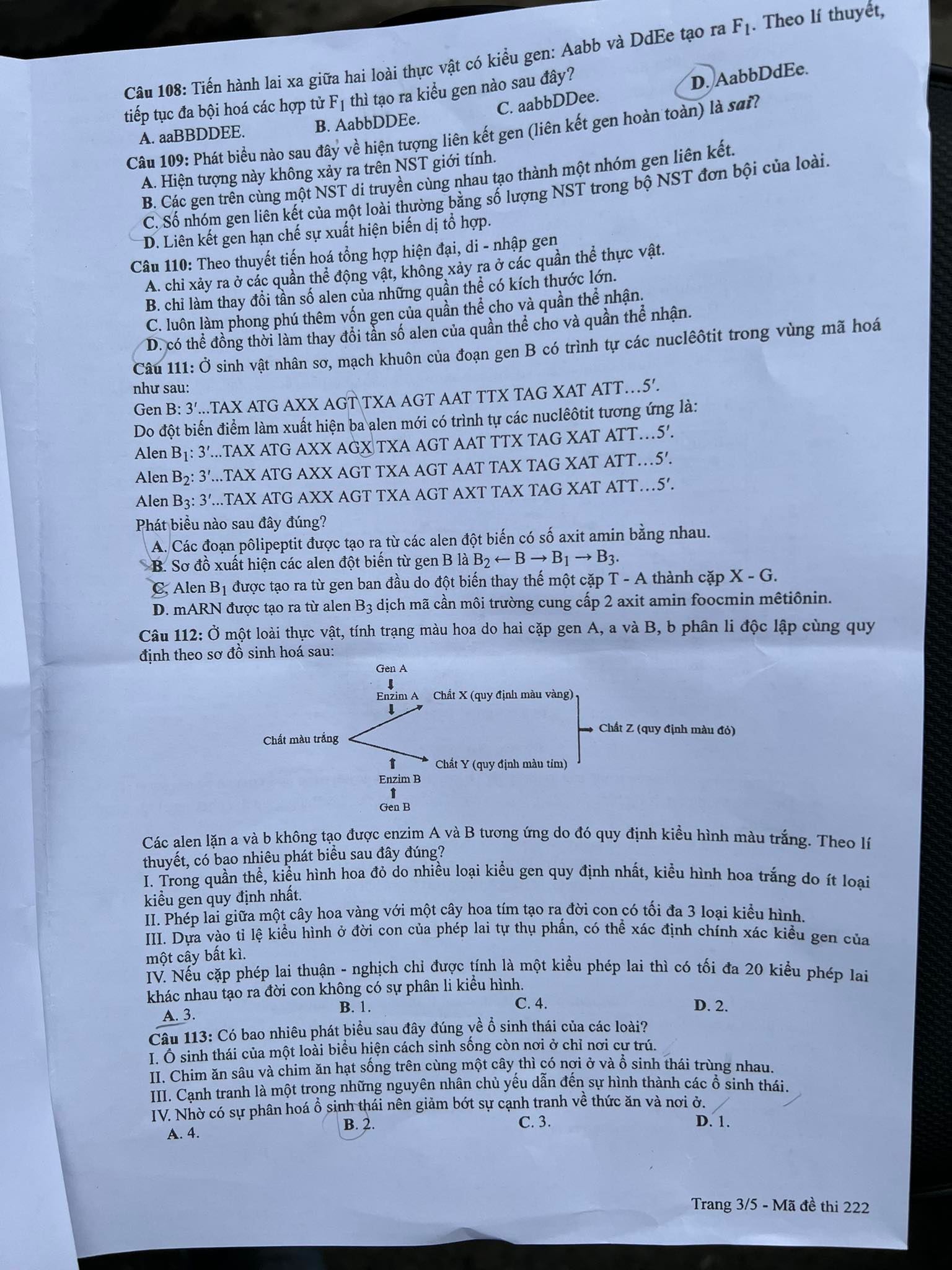Đề thi tốt nghiệp THPT 2022 c&aacute;c m&ocirc;n tổ hợp Khoa học tự nhi&ecirc;n  - Ảnh 7.