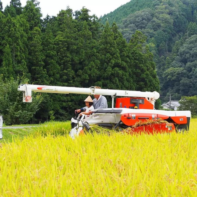 Rời bỏ thành thị náo nhiệt, nữ tiếp viên hàng không về quê, sống đơn giản bên khu vườn nhỏ và cánh đồng cùng chồng con  - Ảnh 4.