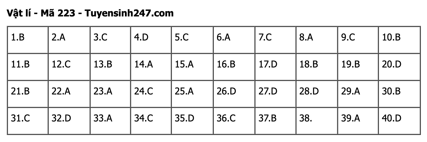 undefined - Ảnh 1. undefined - Ảnh 1.