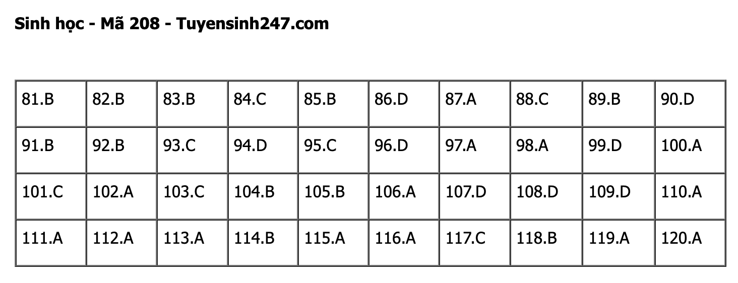 undefined - Ảnh 1.