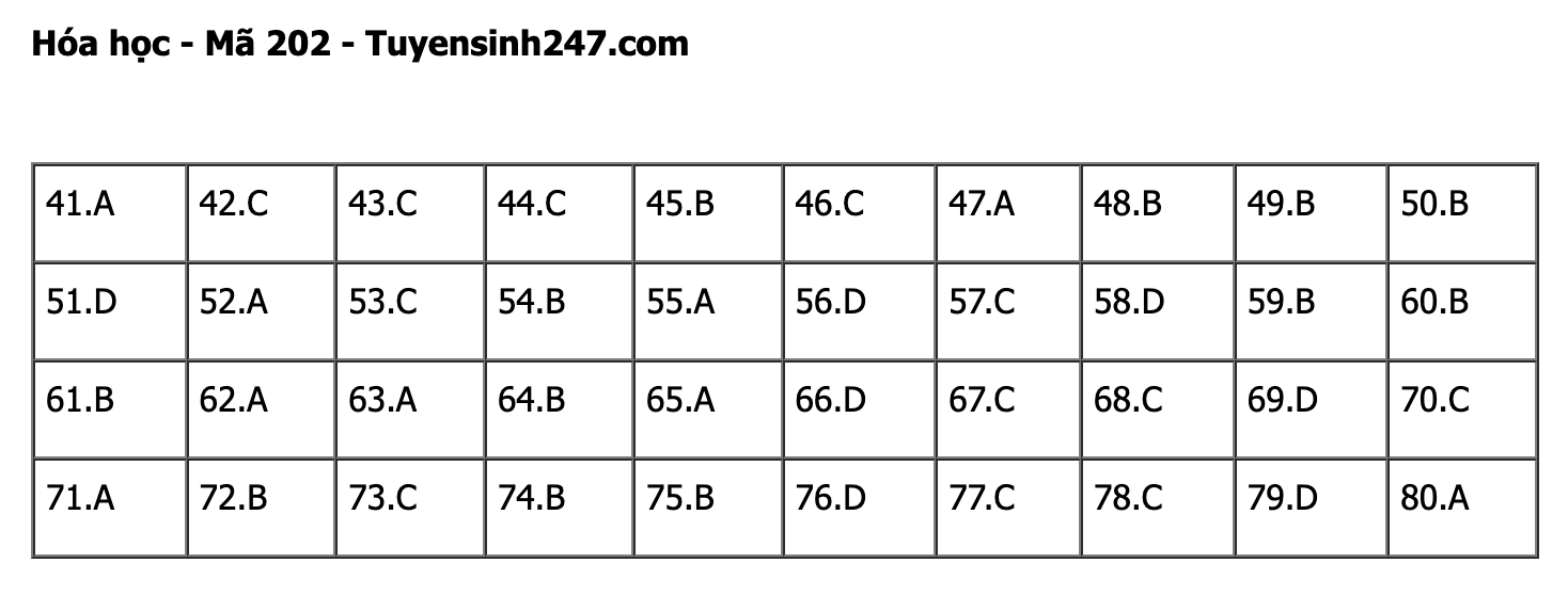 undefined - Ảnh 1.