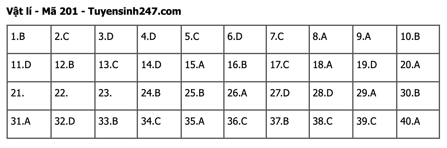 undefined - Ảnh 1. undefined - Ảnh 1.