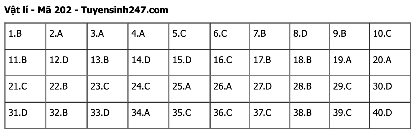 undefined - Ảnh 1. undefined - Ảnh 1.