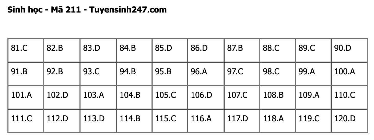 undefined - Ảnh 1.