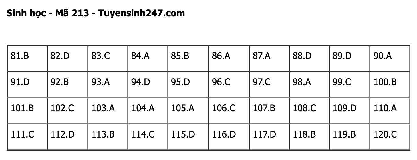 undefined - Ảnh 1.